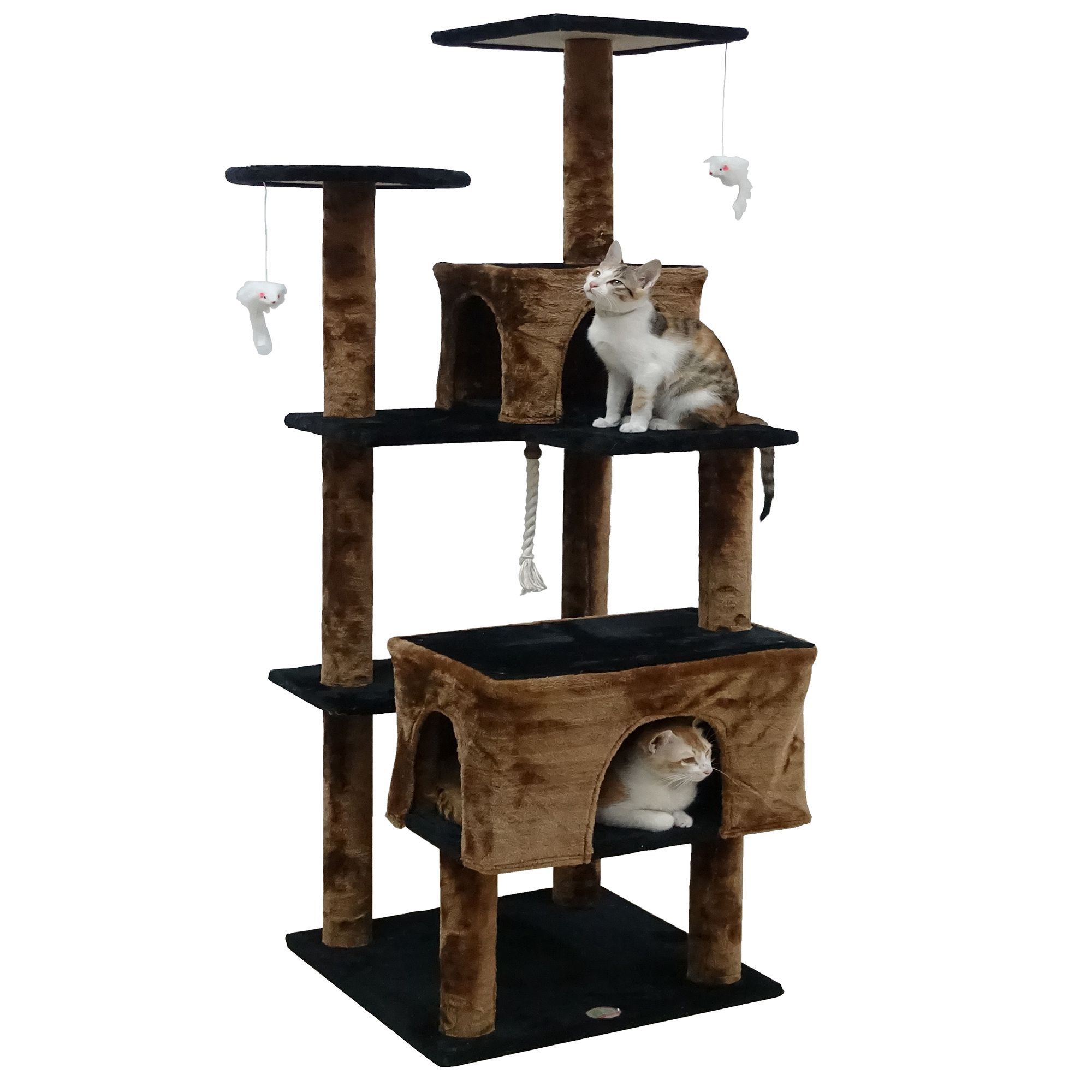 Kitten tree house best sale