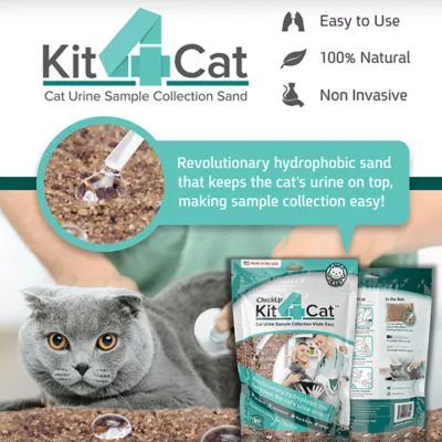 KIT4CAT 2lb Hydrophobic Litter Sand Cat Urine Sample Collection Kit 1 Bag