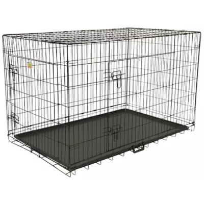 2 door folding dog crate best sale