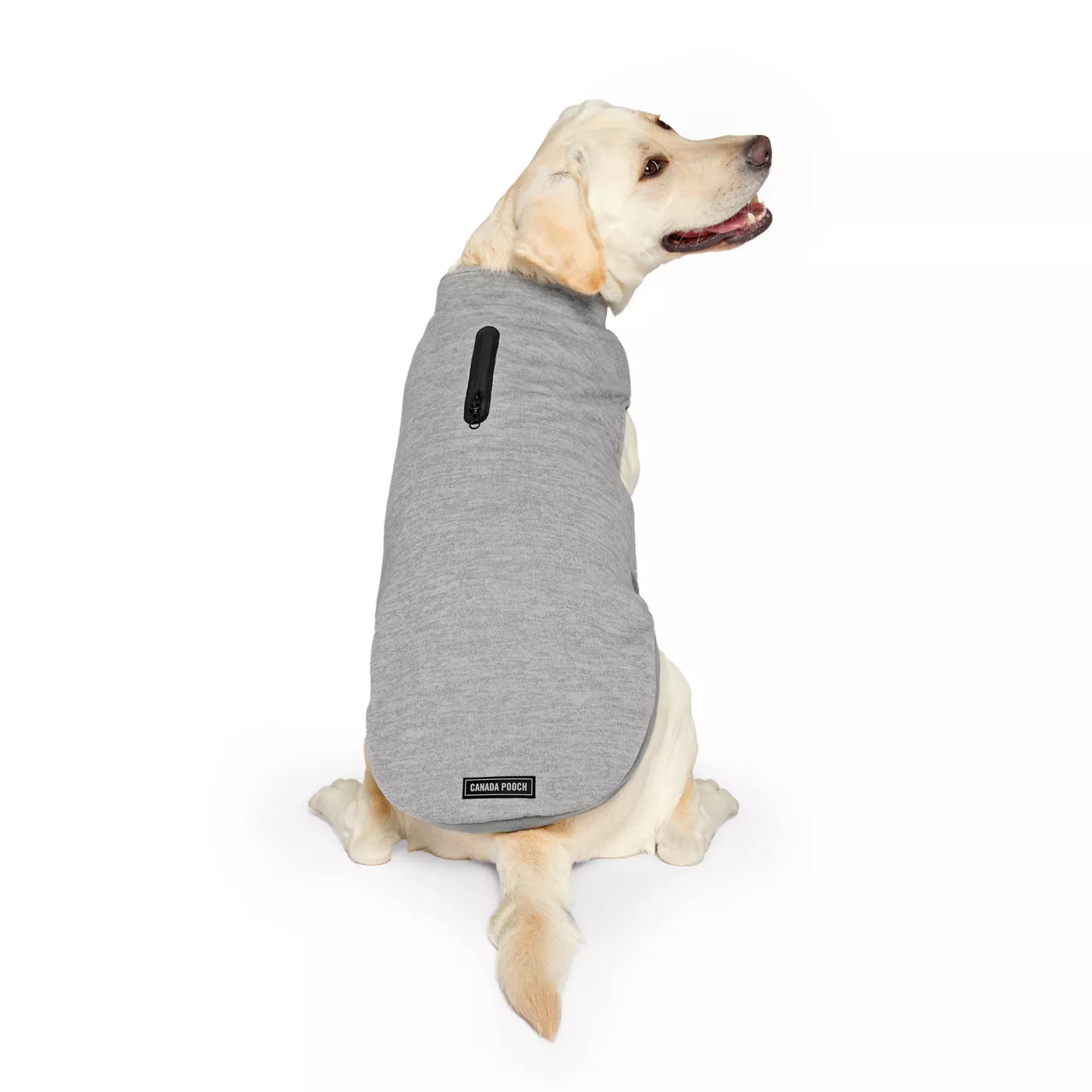 Dog sweater canada hotsell