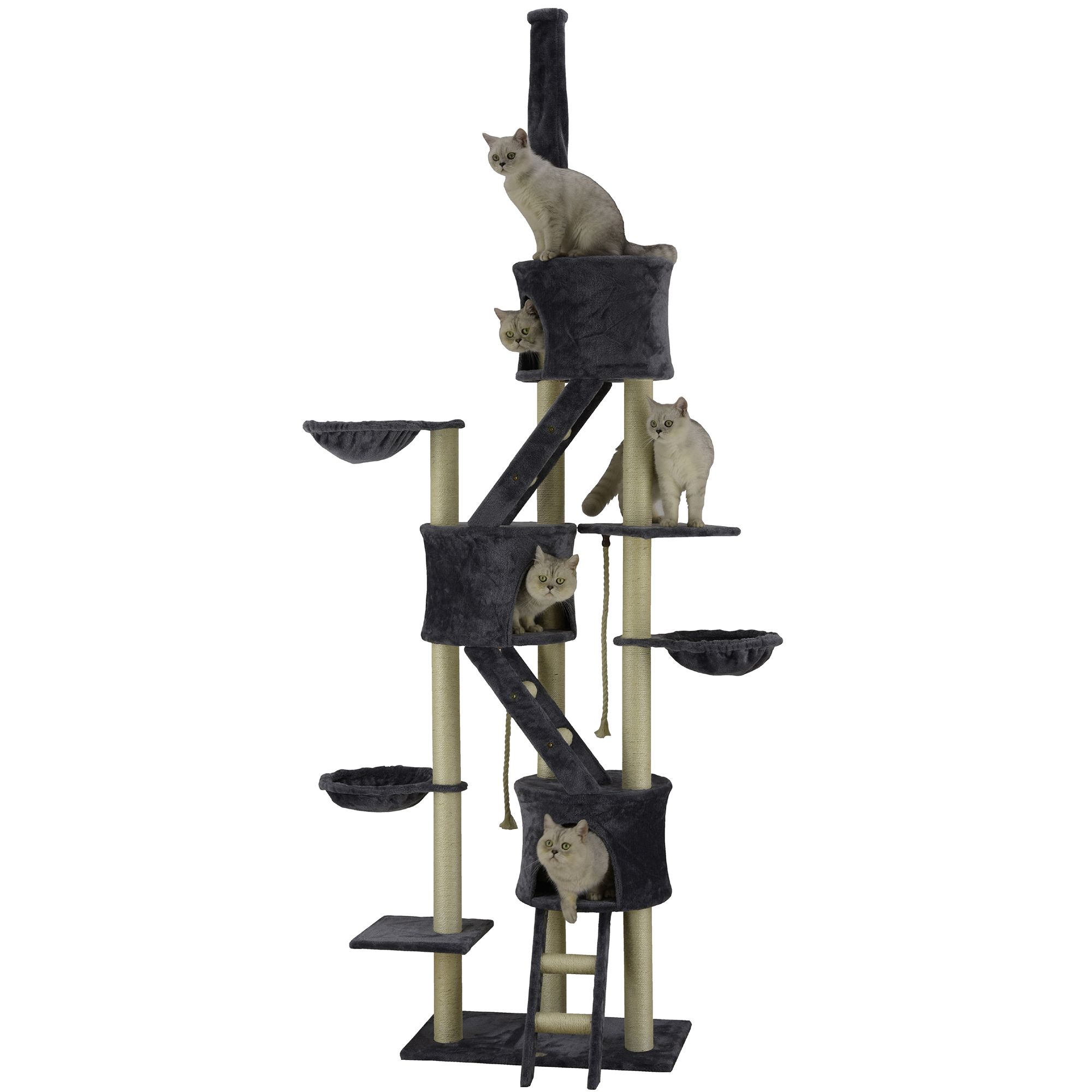 106 in cat tree 2025