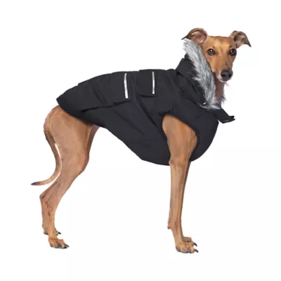 Product Canada Pooch Everest Explorer Dog Vest - Black