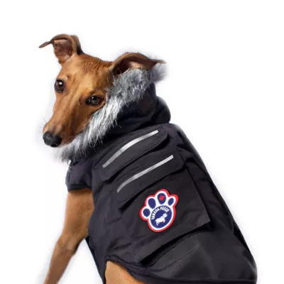 Product Canada Pooch Everest Explorer Dog Vest - Black