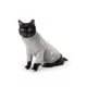 Product Top Paw Gray Icon Fashion Sweater
