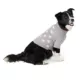 Product Top Paw Gray Icon Fashion Sweater