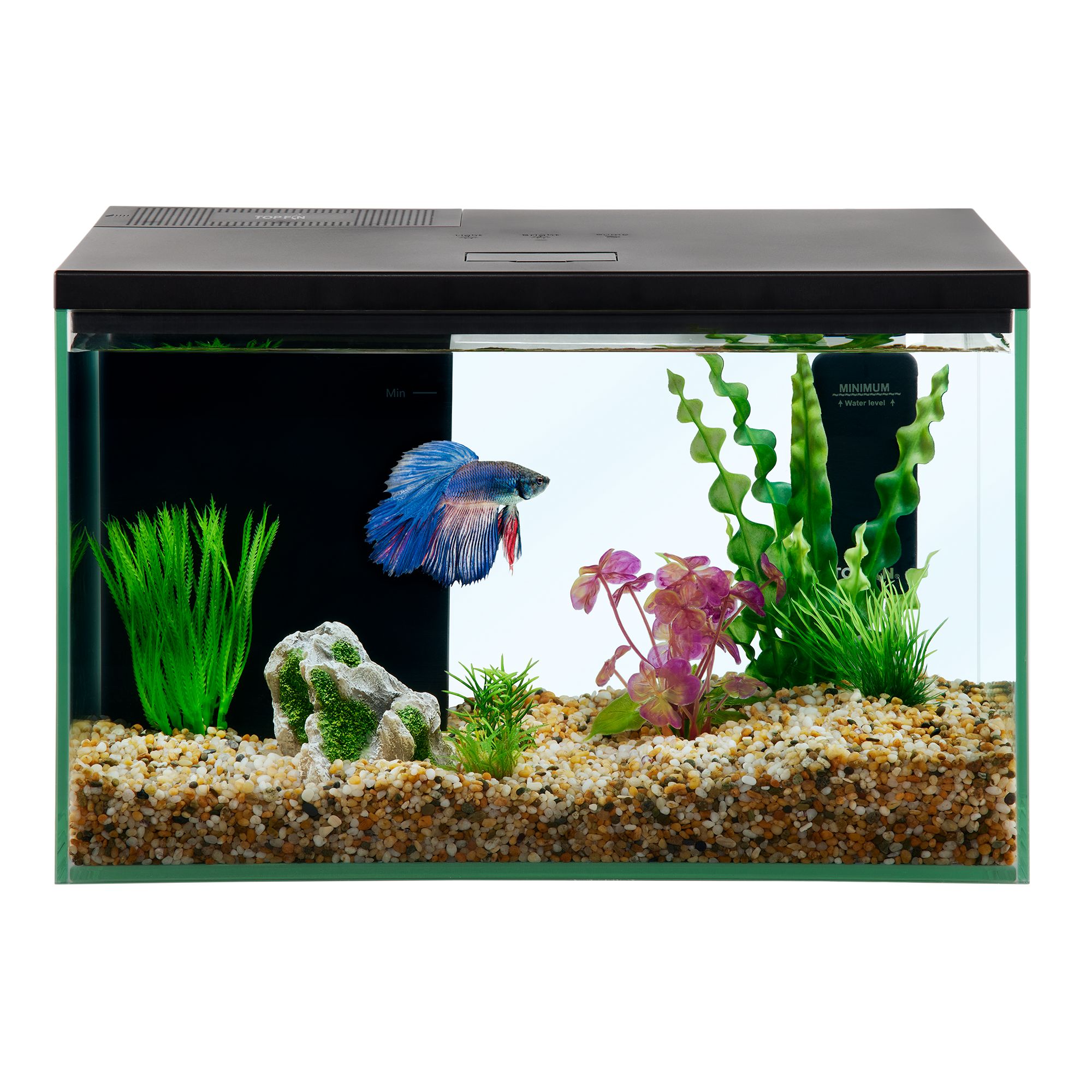 Pets at home kids fish incontrolable tank