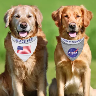 Pets First NASA Reflective Reversible Dog Bandana - Image 5