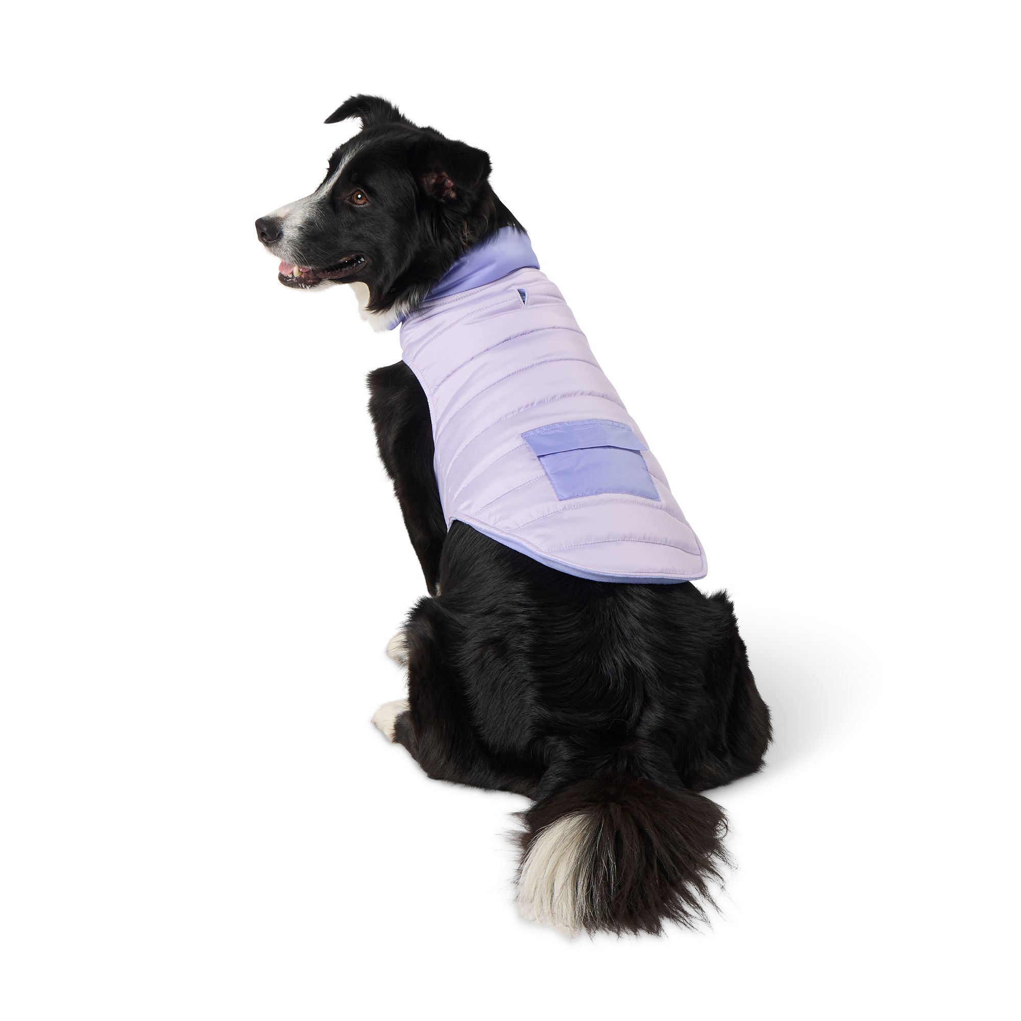 Dog Jackets Coats Dog Clothing PetSmart Canada