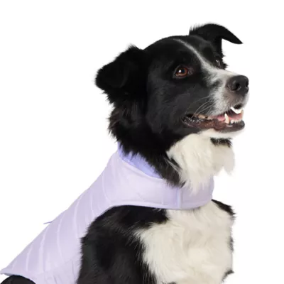 Product Top Paw Adjustable Dog Puffer Jacket