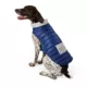 Product Top Paw Adjustable Dog Puffer Jacket