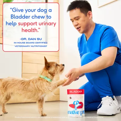 Native Pet Cranberry Bladder Chews Kidney & Urinary Supplement for Dogs - Image 5
