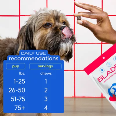 Native Pet Cranberry Bladder Chews Kidney & Urinary Supplement for Dogs - Image 6