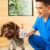 Native Pet Dog Omega-3 Fish Oil & Alaskan Salmon Oil Skin & Coat Health Supplement- 8, 16 & 32 fl oz image thumbnail 5