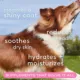 Product Native Pet Skin & Coat Chews with Omega-3 Skin & Coat Supplement for Dogs