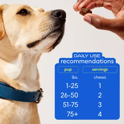 Product Native Pet Skin & Coat Chews with Omega-3 Skin & Coat Supplement for Dogs