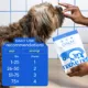 Product Native Pet Calm Chews for Dogs - Anxiety & Calming Supplement