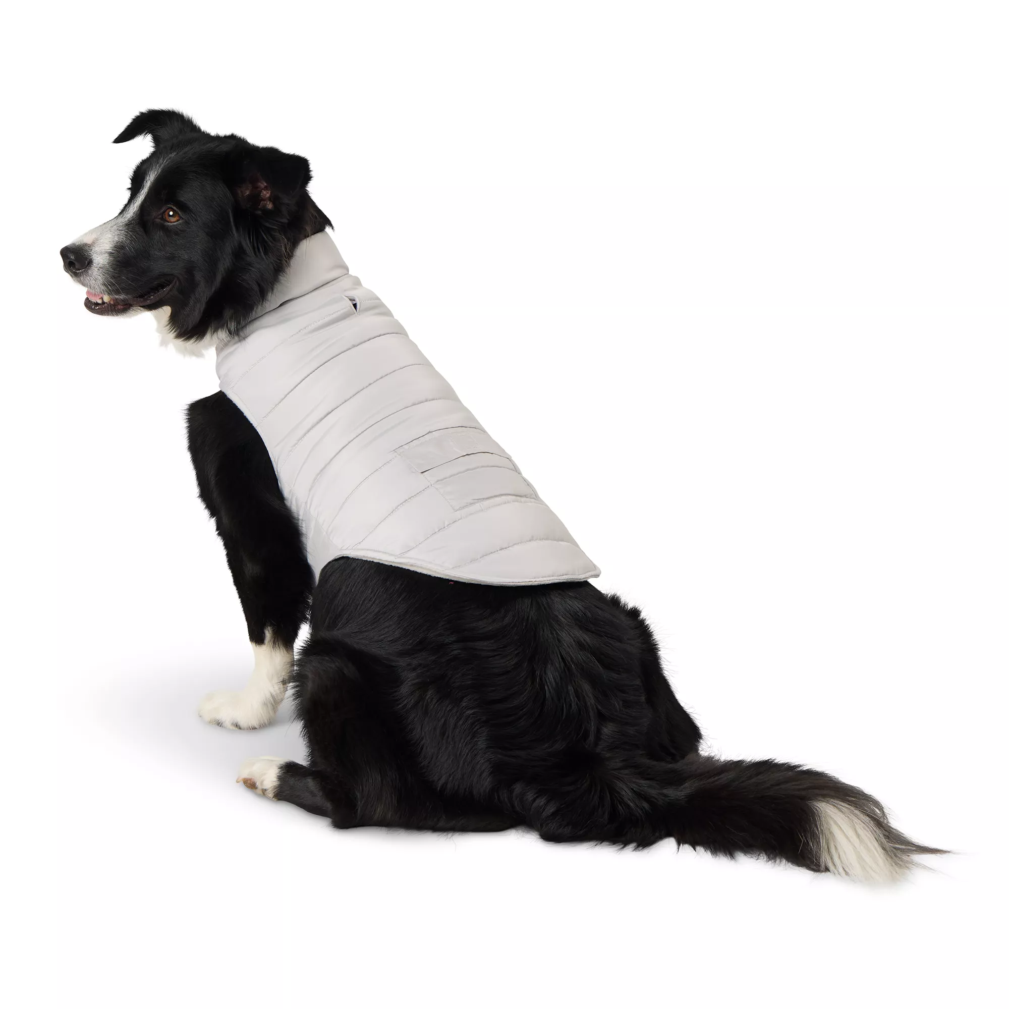 Top Paw Adjustable Dog Puffer Jacket