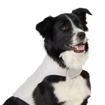 Product Top Paw Adjustable Dog Puffer Jacket