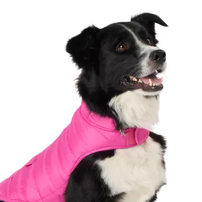 Product Top Paw Adjustable Dog Puffer Jacket