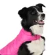 Product Top Paw Adjustable Dog Puffer Jacket