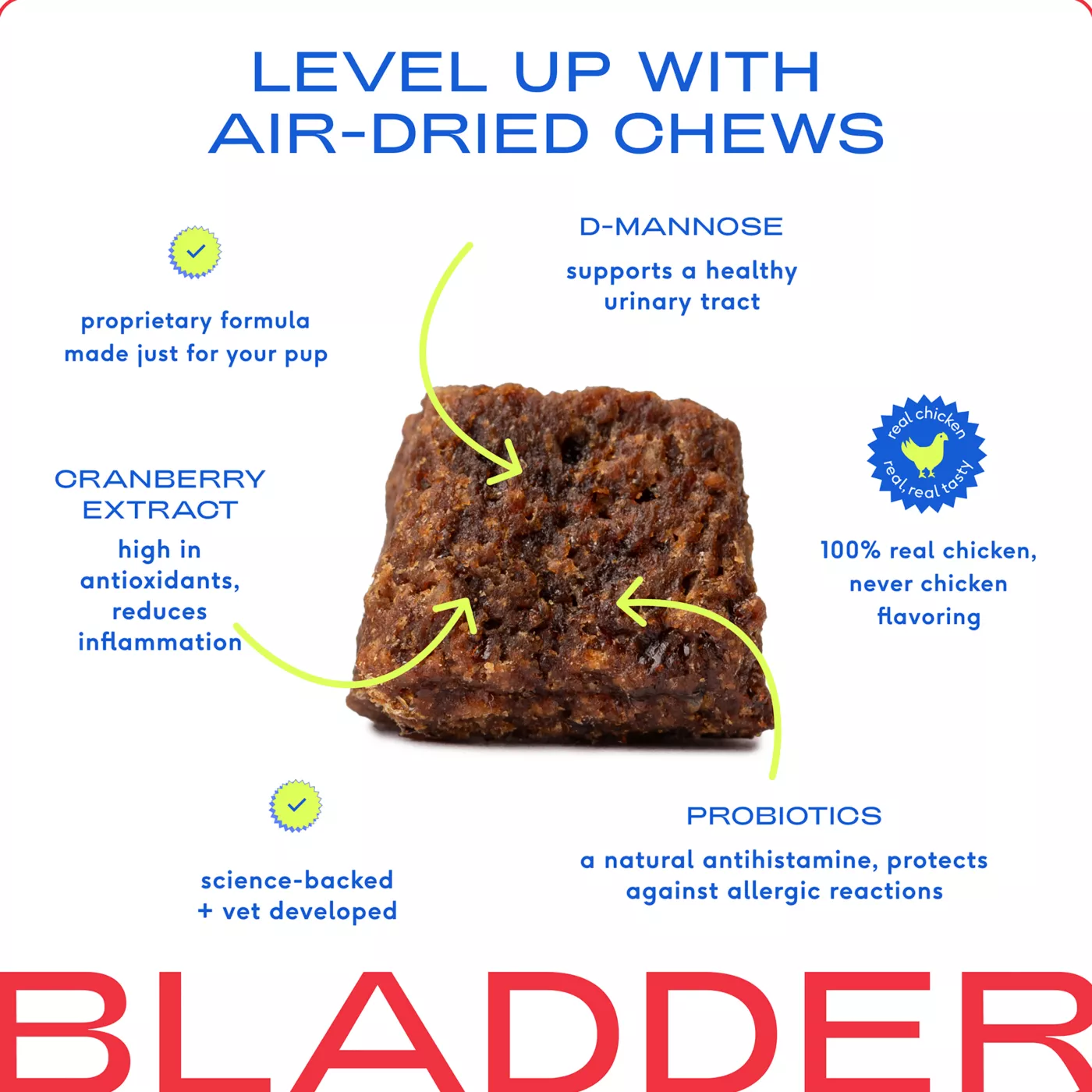 Native Pet Cranberry Bladder Chews Kidney Urinary Supplement for Dogs