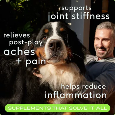 Product Native Pet Relief Chicken Soft Chew To Support Joint Tenderness Dog Supplement