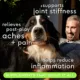 Product Native Pet Relief Chicken Soft Chew To Support Joint Tenderness Dog Supplement