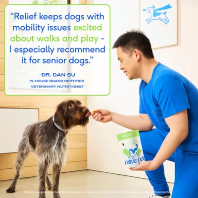 Product Native Pet Relief Chicken Soft Chew To Support Joint Tenderness Dog Supplement