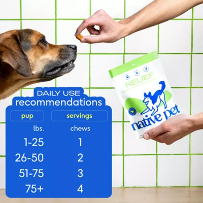 Product Native Pet Relief Chicken Soft Chew To Support Joint Tenderness Dog Supplement