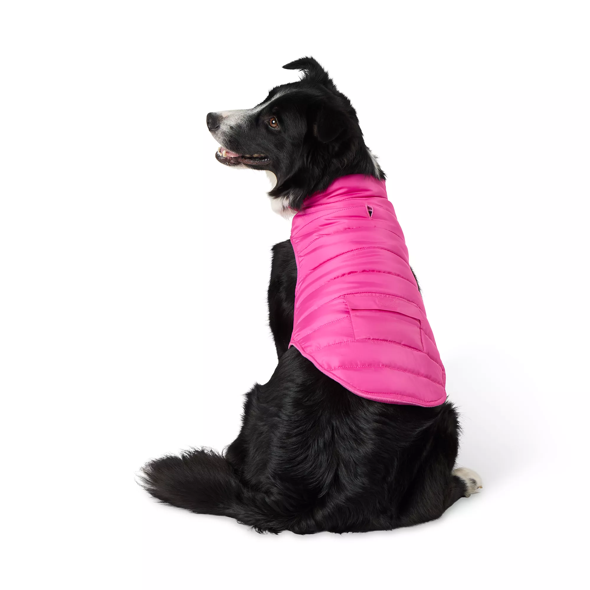 Top Paw Adjustable Dog Puffer Jacket