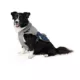 Product Arcadia Trail Adjustable Insulated Dog Coat