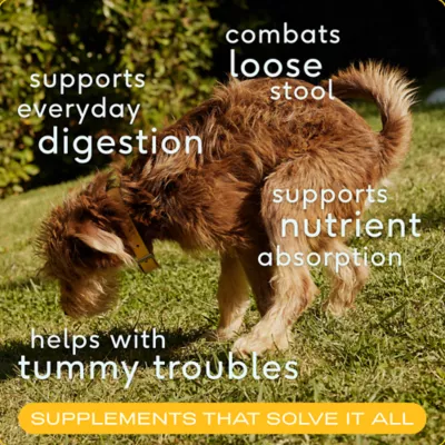 Product Native Pet Organic Pumpkin Fiber Powder Digestive Supplement for Dogs