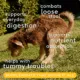 Product Native Pet Organic Pumpkin Fiber Powder Digestive Supplement for Dogs