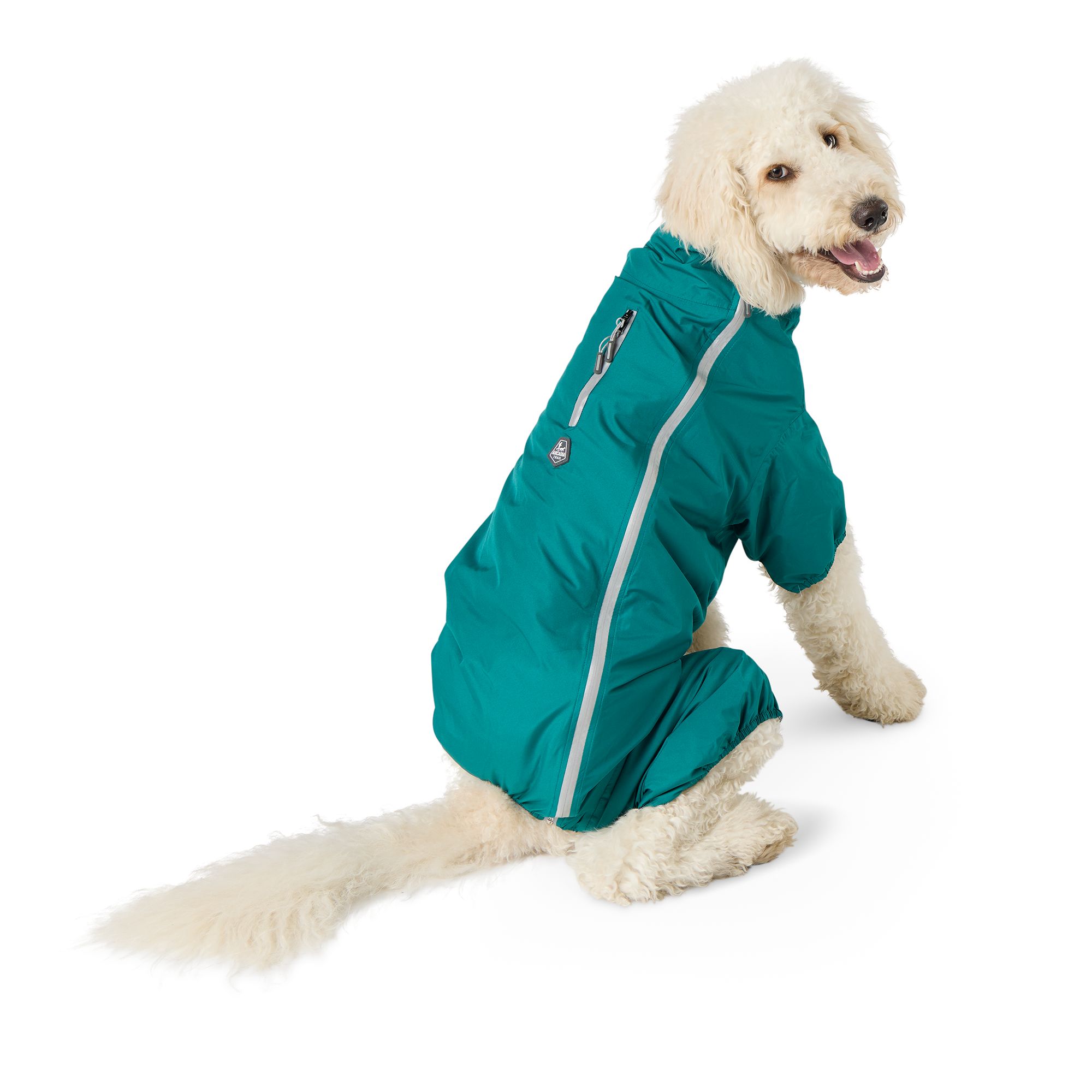 Dog rain poncho petsmart hotsell