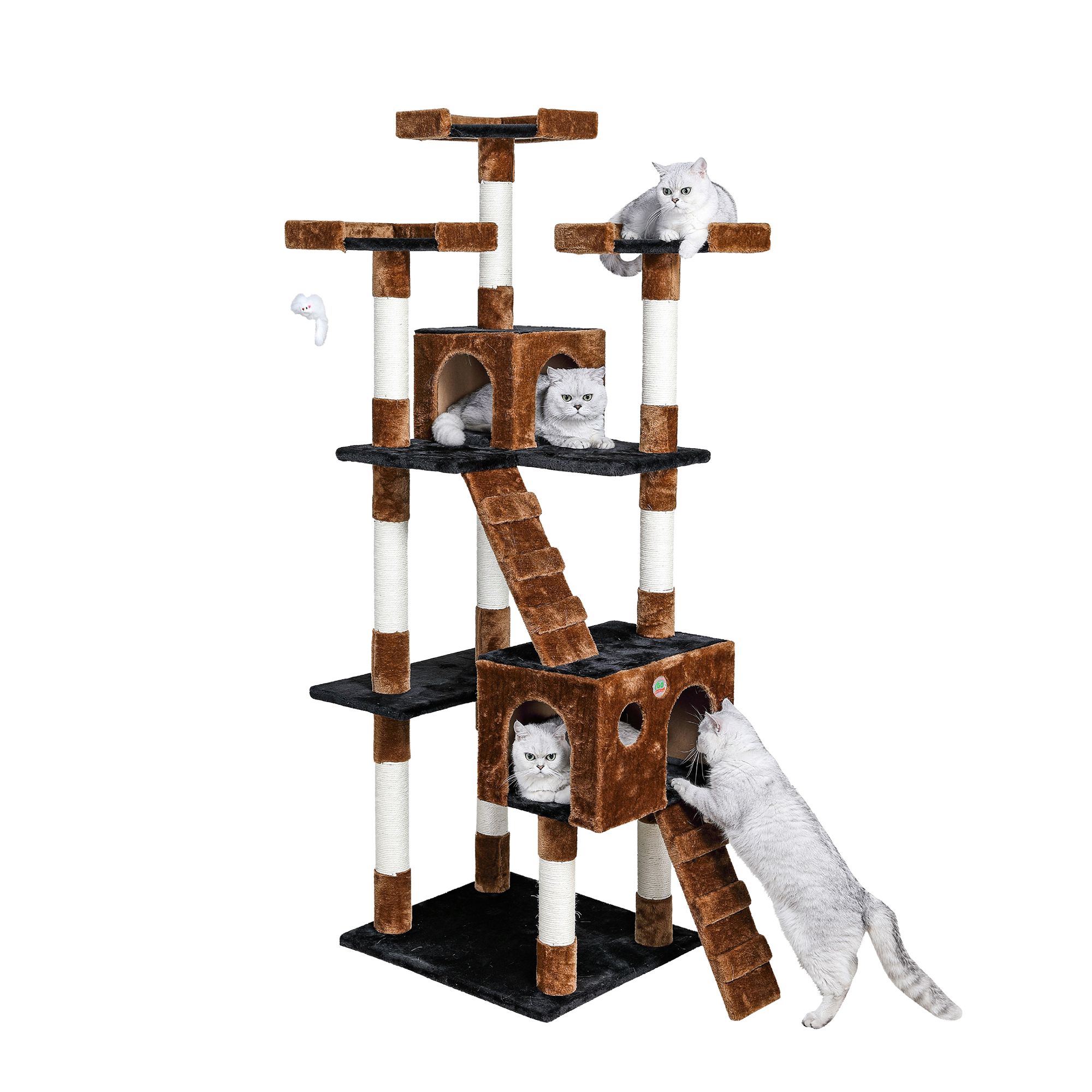 72 inch cat condo hotsell