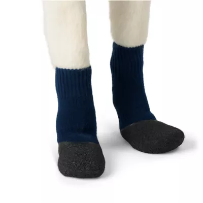 Arcadia Trail Navy Bootie Socks