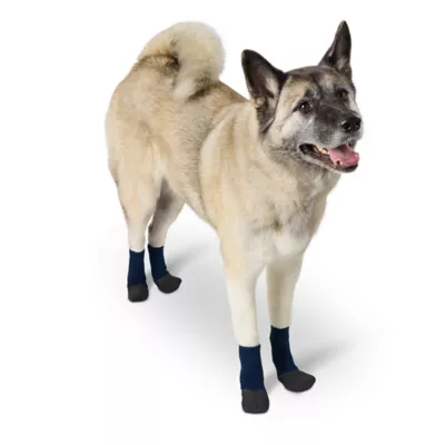 Product Arcadia Trail® Navy Bootie Socks