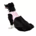 Top Paw Pink Peony Fashion Comfort Vest Harness image thumbnail 1