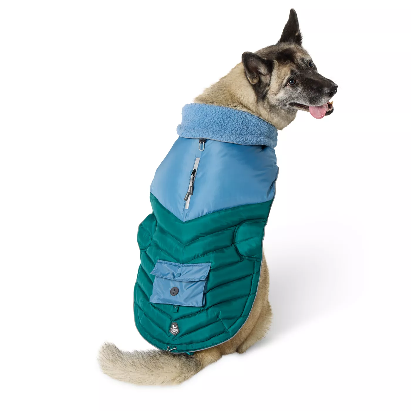 Insulated dog coat outlet