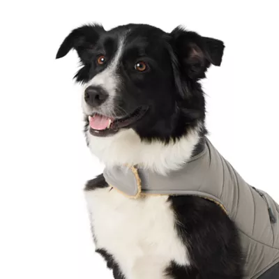 Product Arcadia Trail Ultra-Reflective Dog Jacket