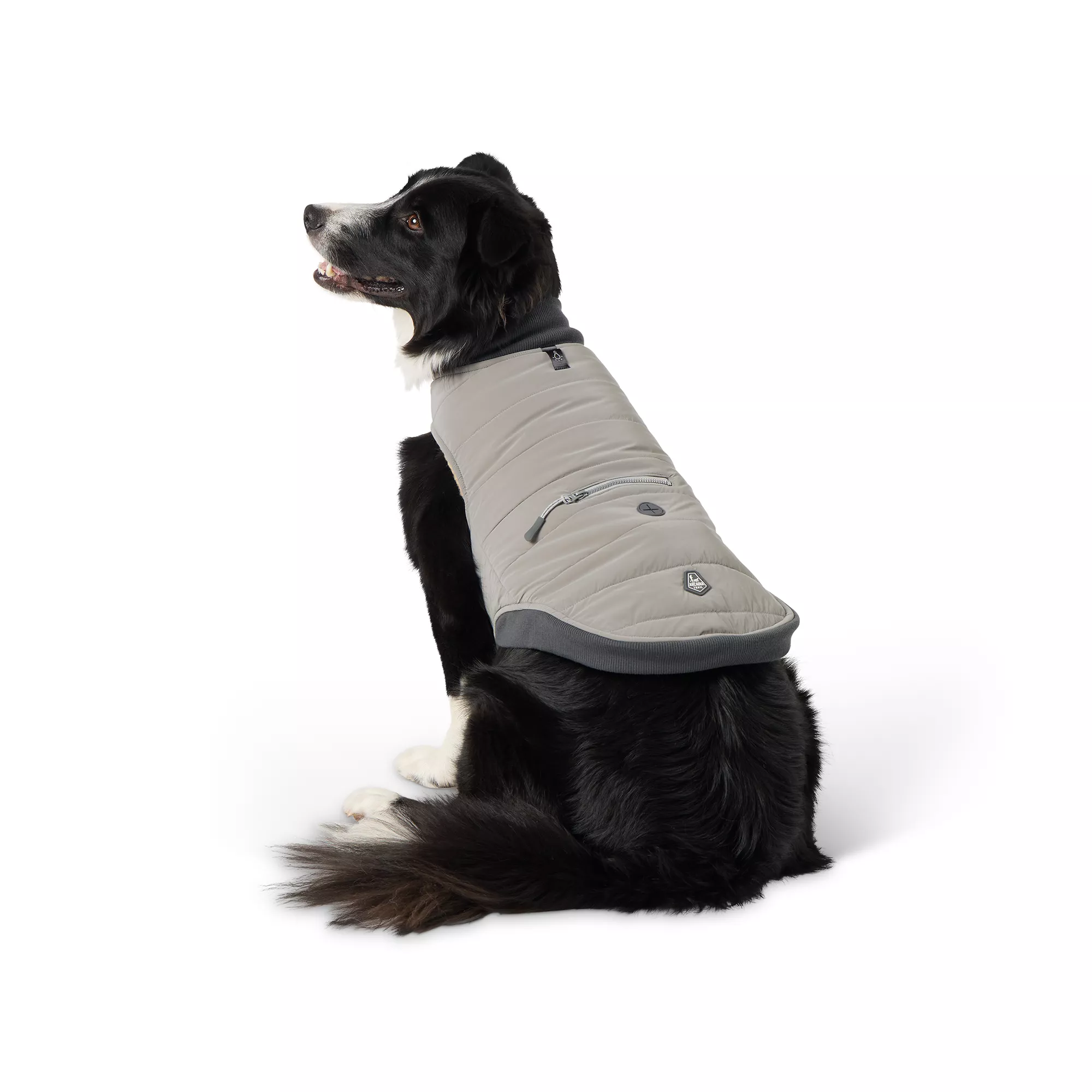 Arcadia Trail Ultra-Reflective Dog Jacket