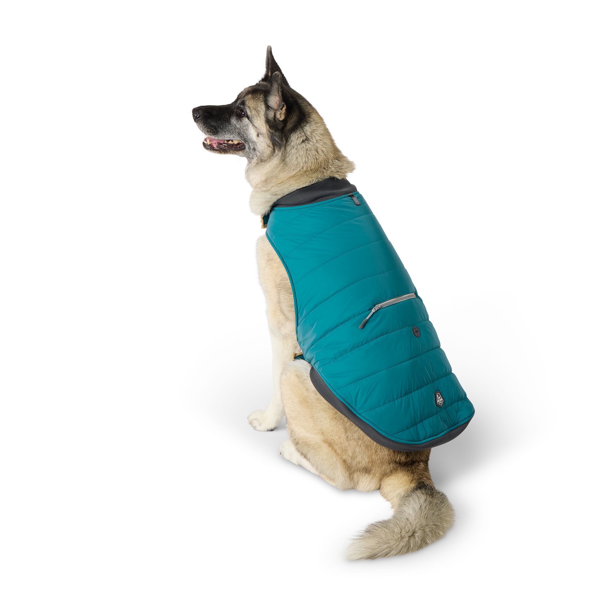 Quilted dog coats hotsell