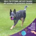 Chew King Fetch Balls Dog Toy image thumbnail 4