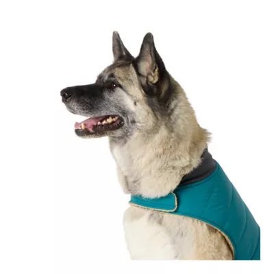 Product Arcadia Trail Ultra-Reflective Dog Jacket