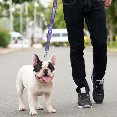 Product Pets First NASA Satin Dog Leash
