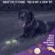 Product Chew King Glowing Fetch Balls 8 CT