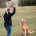 Chew King Ball Launcher Combo Dog Toy image thumbnail 4