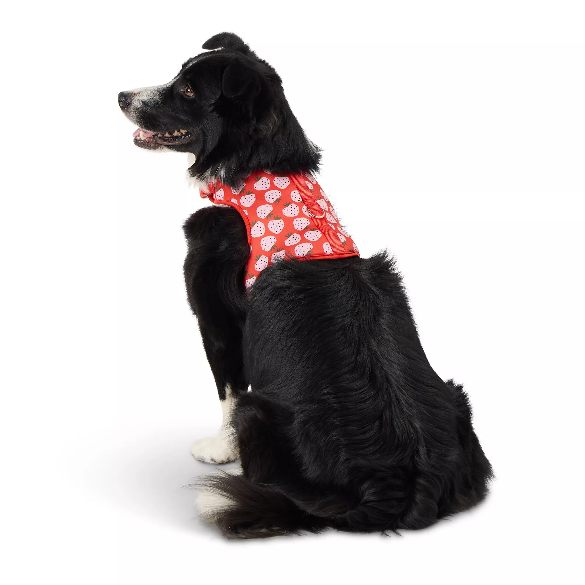 Top Paw Strawberry Fashion Comfort Vest Harness