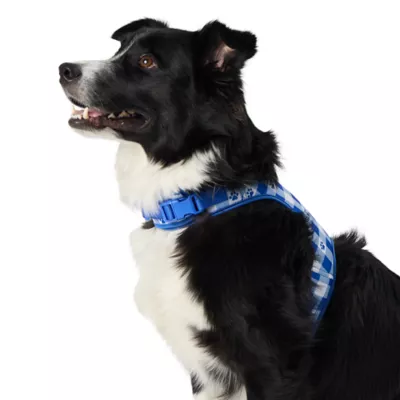 Product Top Paw Blue Gingham Fashion Comfort Vest Harness