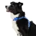 Top Paw Blue Gingham Fashion Comfort Vest Harness image thumbnail 2